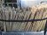 Bild 2 von 5 - Tonkinstäbe 10 St. 1,80 m 14-16 mm Bambusstäbe Rankhilfe Pflanzstäbe